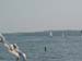 DSC00019